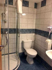 a bathroom with a toilet and a shower and a sink at Hotel Veritas in Budapest