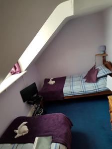 a room with two beds in a attic at Molyneux Guesthouse in Weymouth