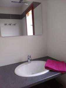 a bathroom sink with a mirror and a pink towel at Gite Du Moulin Du Vivier in Seigy