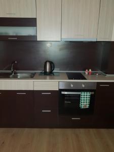 cocina con fogones y fregadero en Cosy Apartment - City Centre en Blagoevgrad