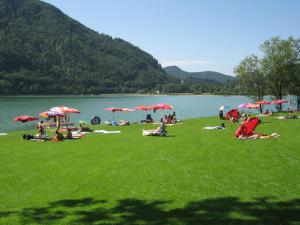 Paesaggio naturale nelle vicinanze dell'affittacamere