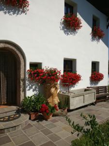 a courtyard with a bench and red geranium plants at Haus Falkner in Mutters