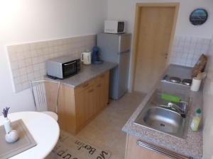 uma pequena cozinha com um lavatório e um frigorífico em Ferienwohnung Zur Alten Eiche em Frohburg