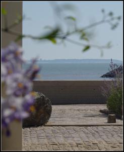 a view of the ocean from a balcony with flowers at Le Petite des Bouchots in Les Boucholeurs