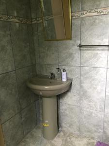 a bathroom with a sink and a shower at Rehoboth Family Guest House in Port Elizabeth
