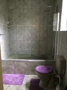 baño con bañera verde y aseo púrpura en Rehoboth Family Guest House en Puerto Elizabeth