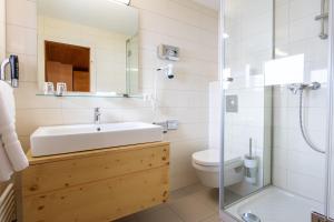 La salle de bains est pourvue d'un lavabo, de toilettes et d'une douche. dans l'établissement Meisser Lodge, à Guarda
