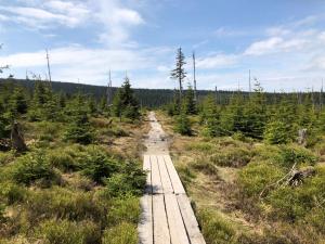 Loodusmaastik apartemendi lähedal