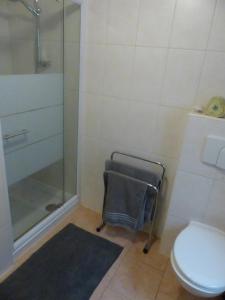 bagno con doccia e servizi igienici. di Ferienwohnung Zur Alten Eiche a Frohburg