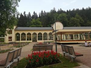 budynek z ławkami i kwiatami przed nim w obiekcie Apartmán Jestřáb 5 w Jańskich Łaźniach