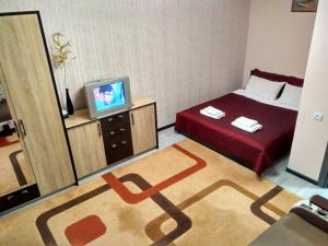 リヴィウにあるApartments near Arena on Syhivskaのベッドとテレビが備わるホテルルームです。