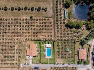 an overhead view of a field with houses and trees at Agriturismo Il Giglio di S. Antonio in Montemassi
