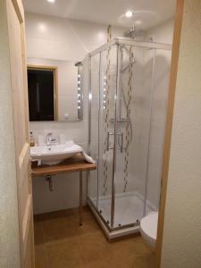 W łazience znajduje się prysznic, umywalka i toaleta. w obiekcie Appartement Elena w mieście Umhausen