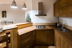 A kitchen or kitchenette at OnLviv Apartments Rynok Square 25