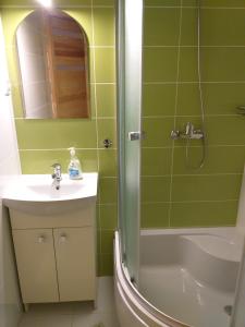 ein grünes Bad mit einem Waschbecken und einer Dusche in der Unterkunft Pokoje gościnne u Jasia i Małgosi w Chmielnie na Kaszubach in Chmielno