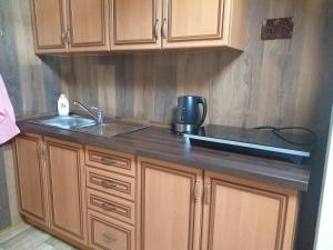 Kuchyň nebo kuchyňský kout v ubytování Pension Arnika + 21 fotografií