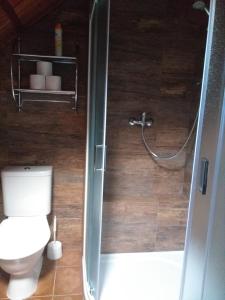 uma casa de banho com um chuveiro, um WC e um lavatório. em Pension Arnika em Modrava