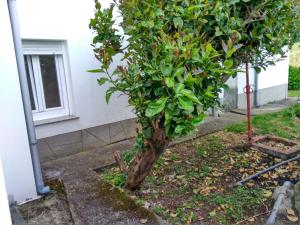 Imagen de la galería de Adosado a pie de playa, en A Coruña 20 fotos más