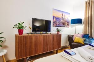 Televízia a/alebo spoločenská miestnosť v ubytovaní Royal Route Residence