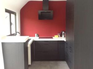 een keuken met een wastafel en een rode muur bij Akker duplex in Mortsel