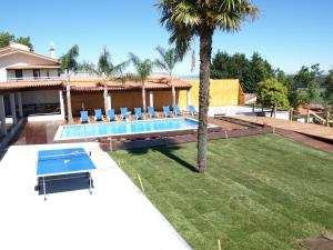 a backyard with a swimming pool and a palm tree at Villa Sole in Vila do Conde