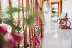 Vrt pred nastanitvijo Hotel Javy