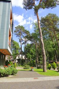 Κήπος έξω από το Jūros Apartamentai