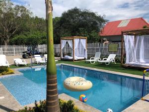 una gran palmera junto a una piscina en Pop House, en Montañita