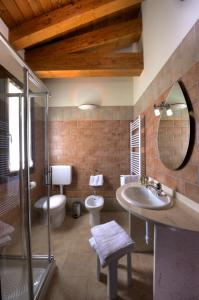 y baño con lavabo, ducha y aseo. en Agriturismo Olistella, en Palazzolo dello Stella