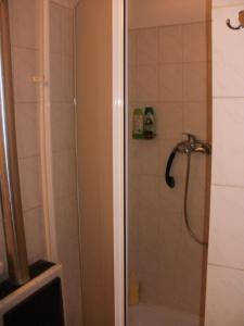 a shower with a glass door in a bathroom at Vass Vendégház in Eger