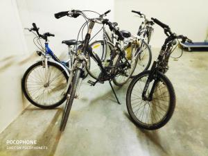 three bikes parked next to each other in a room at Apartment Zonnehaven in Nieuwpoort