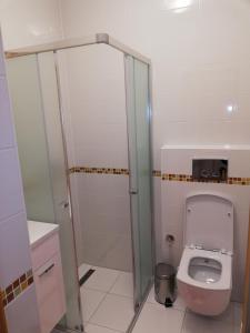 A bathroom at Vila Lomnička Még 18 kép