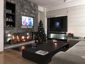 a living room with a christmas tree and a fireplace at Arachova Livadi in Arachova