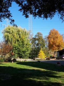 einem Park mit Bäumen und einem Turm im Hintergrund in der Unterkunft Ferienhof Papiermühle in Hofgeismar