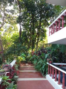 a staircase leading to a garden with plants and trees at Casa De Olga in Vagator