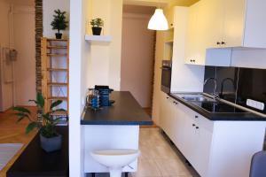 Kuchyňa alebo kuchynka v ubytovaní Palace Apartman - Minaret, Eger