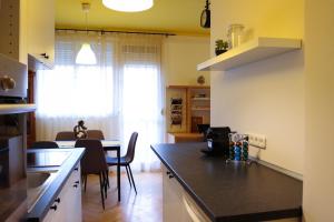 Kuchyňa alebo kuchynka v ubytovaní Palace Apartman - Minaret, Eger