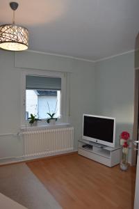 a living room with a flat screen tv and a window at Ferienwohnung Wörrstadt in Wörrstadt