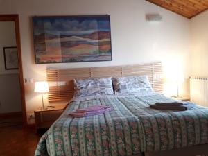 a bedroom with a bed with a blanket and two lamps at B&B La Mansardina in Torri di Quartesolo