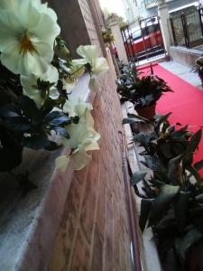 Foto sihtkohas San Benedetto del Tronto asuva majutusasutuse Officina Urban Sleep galeriist