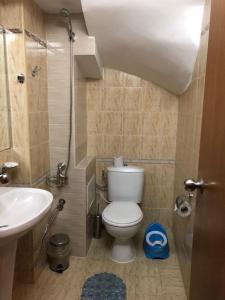 a small bathroom with a toilet and a sink at Apartment Svetla in Laplandia Complex in Pamporovo