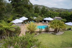 Gallery image of Armadillo Studios in Knysna