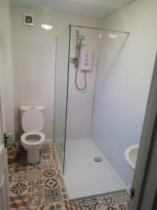 een badkamer met een douche, een toilet en een wastafel bij The Studio in Georgeham