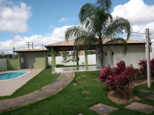 a house with a palm tree and a swimming pool at Natal RN Apartamento in Parnamirim
