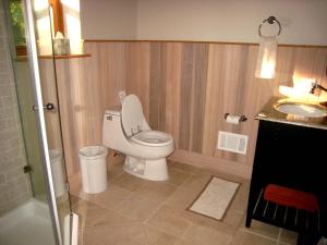a bathroom with a toilet and a sink at The Catskill Cabin in Elka Park