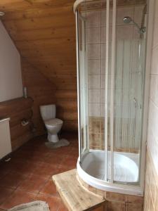 a bathroom with a shower and a toilet at Dom w Karkonoszach in Karpacz