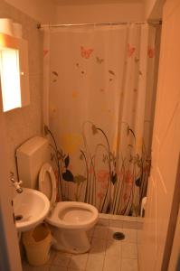 La salle de bains est pourvue de toilettes et d'un rideau de douche avec des papillons. dans l'établissement Αpartment at the entrance of the city Dimitropoulos, à Aigio