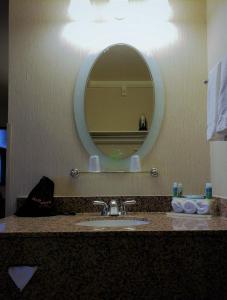 a bathroom with a sink and a mirror at Holiday Inn Express Mesa Verde-Cortez, an IHG Hotel in Cortez