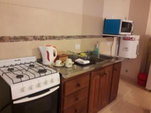 a kitchen with a stove and a sink at 994 Tucumán in San Fernando del Valle de Catamarca