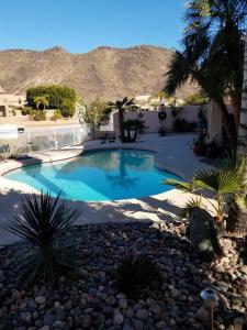 a swimming pool in a yard with rocks and palm trees at Glendale Arizona Lakeside Property in Glendale